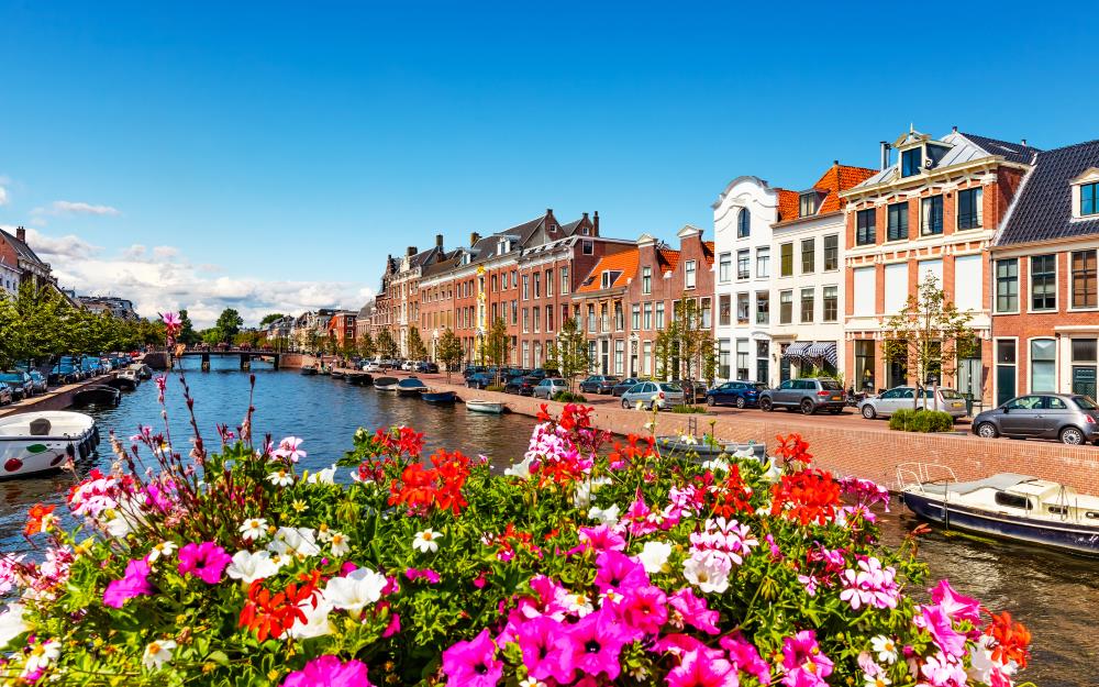 Blick auf Blumen und den Kanal in Haarlem