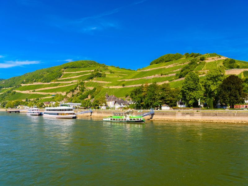 Ausflugsschiffe am Anleger mit Weinhängen im Hintergrund