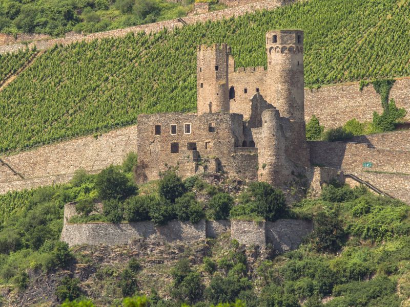 Burgh Rheinstein thront auf den Weinbergen nahe Rüdesheim