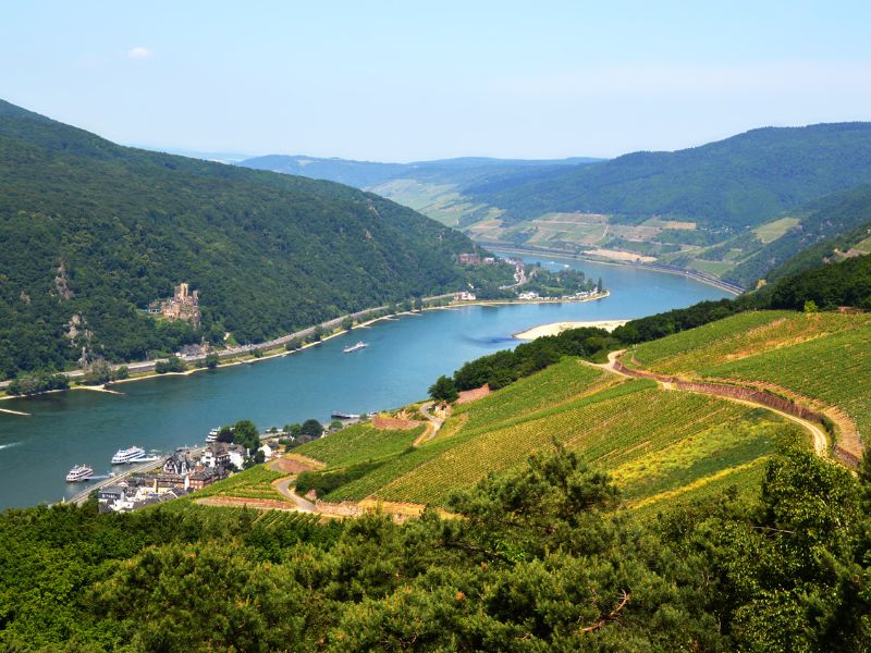 Fantastischer Panoramablick aufs Rheintal nahe Rüdesheim